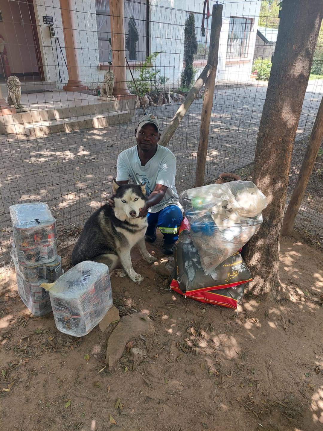 Husky Rescue South Africa